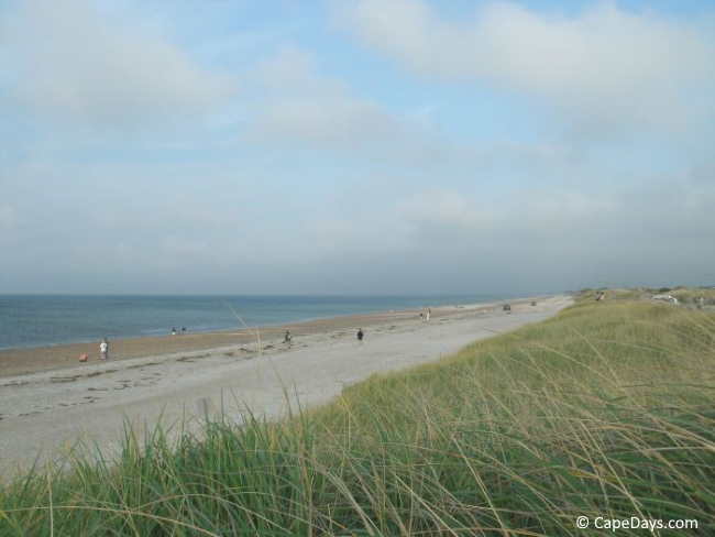 Sea grass covered dune, long stretch of beach and open ocean views