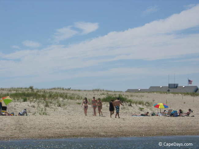 People in bathing suits walking along the shore