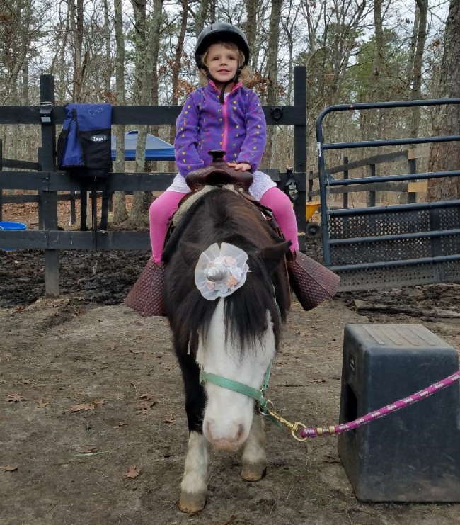 Which Stables Offer Guided Horseback Riding on Cape Cod?
