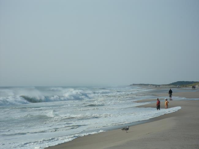 People standing on the beach and wading ankle-deep in the water watching huge, crashing waves at Nauset Beach in Orleans MA