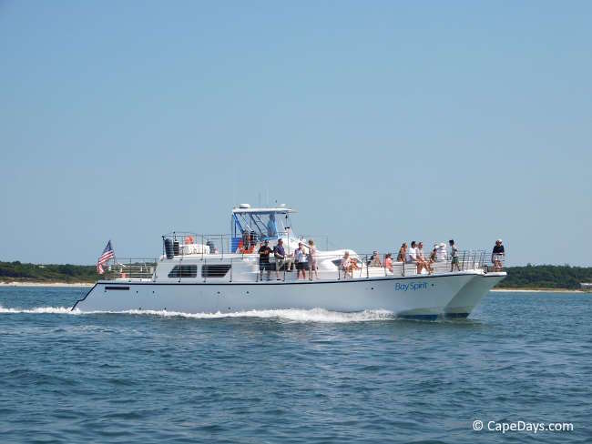 People onboard a large, white catamaran boat, passing the Hyannis breakwater.