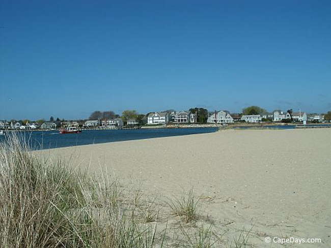 Sea grasses framing a sandy shoreline with waterfront homes in the distance