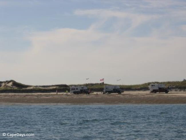 View from the water toward Sandy Neck beach camping area