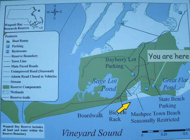 Diagram showing South Cape Beach State Park with arrow pointing to Mashpee Town Beach