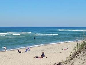 Cape Cod beaches information