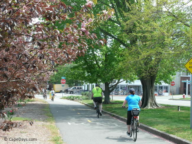 People riding the Cape Cod Rail Trail through downtown Orleans, with shade trees and nearby shops.