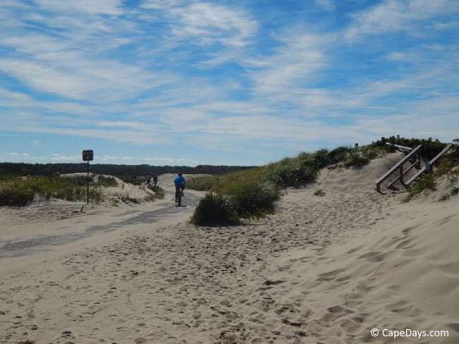 A person biking along a paved trail on the Cape Cod National Seashore, where windblown sand drifts across the path between dunes and beach grass.