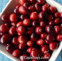 Bowl of fresh, bright red cranberries