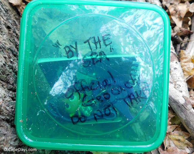 Small plastic container holding a cache of trinkets