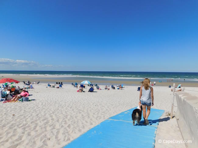 Woman walking her dog down a beach access mat toward Cape Cod Bay.