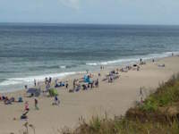 Topic: Cape Cod beach types