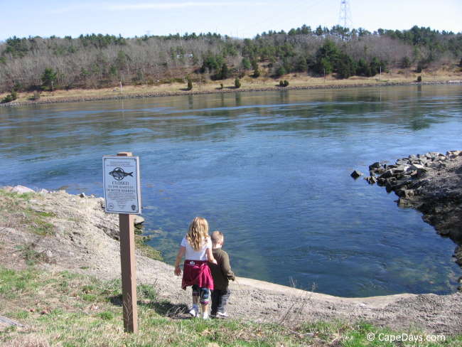 Two young children walking near the Cape Cod Canal to watch the herring run Two young children walking near the Cape Cod Canal to watch the herring run