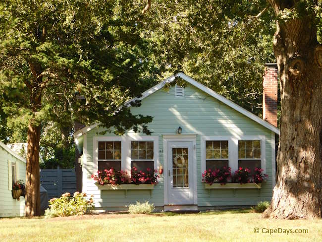 Small Cape Cod cottage flanked by trees, located near a Bay-side beach