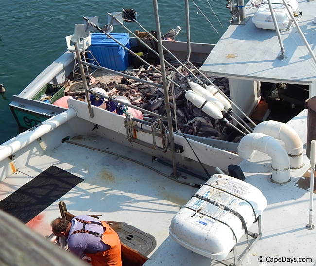View from above of two fishing boats, fisherman in orange protective overalls