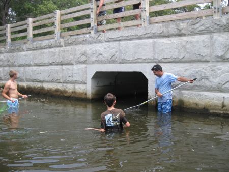 People in the water watching for crabs to float under the bridge