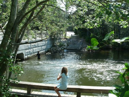 Children fishing for crabs in a stream