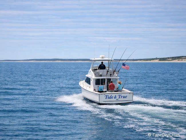 Charter fishing boat traveling across the water with captain driving and 2 passengers onboard Charter fishing boat traveling across the water with captain driving and 2 passengers onboard