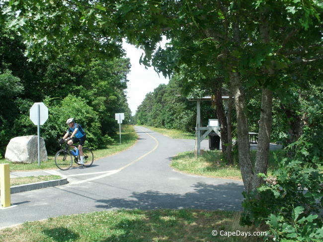 Paved bicycle trail shaded by green, leafy trees