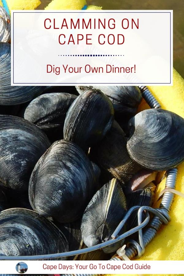 Save this clamming info to Pinterest.  Click the Save button.