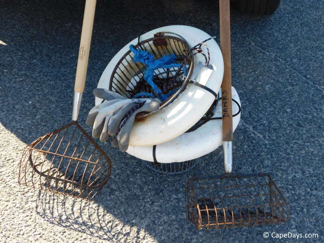Photo of wire baskets with white flotation rings, clam-digging rakes, and heavy-duty gloves