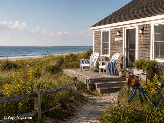 Cape Cod-style cottage near the beach with dune grass and goldenrod Cape Cod-style cottage near the beach with dune grass and goldenrod