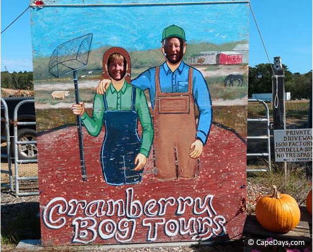 cranberry-farm-tour-2.JPG