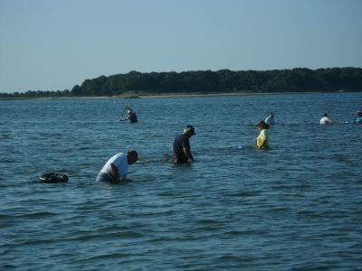 Clammers Digging for Dinner