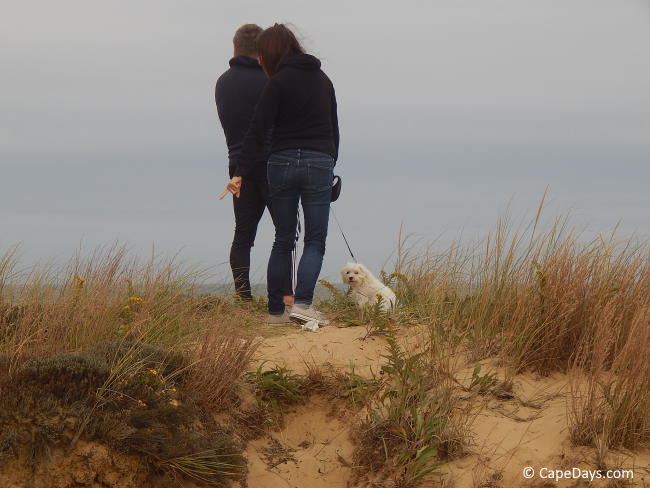Man and woman standing at top of a dune looking out over the ocean, small white dog on leash sitting near woman's feet Man and woman standing at top of a dune looking out over the ocean, small white dog on leash sitting near woman's feet