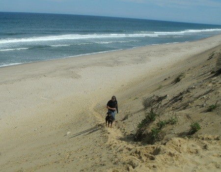 Pies i właściciel wspinający się na wydmę w Cape Cod National Seashore