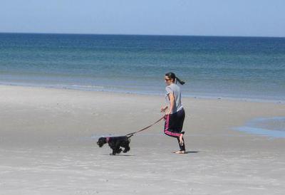 A Spring Run at Mayflower Beach