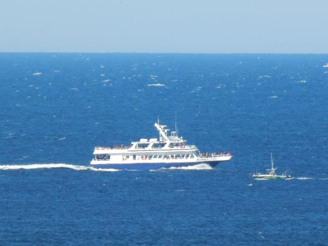 Whale watch boat off the Cape Cod coastline