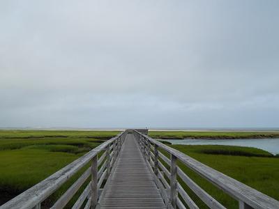 View from Bass Hole (Gray's Beach) Boardwalk