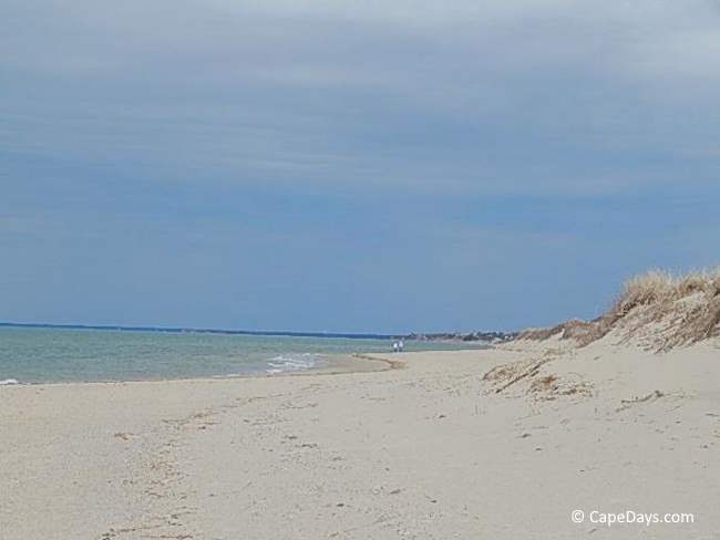 Sea grass-covered dunes, expansive stretch of beach and ocean views Sea grass-covered dunes, expansive stretch of beach and ocean views