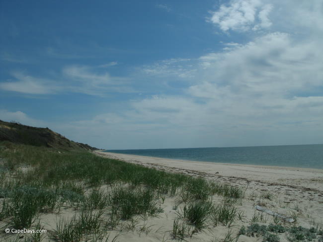 Sea grasses on the dunes, expansive beach and calm water at Fisher Beach on Cape Cod Bay in Truro