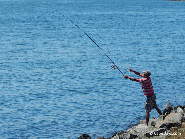 Man with a surf rod casting from the rocks along the Cape Cod Canal