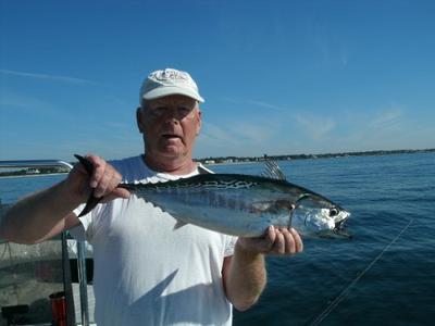 Early September False Albacore