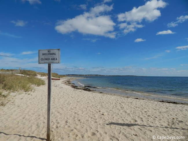 Blue sky with puffy clouds over a deserted shoreline. Gentle rise covered with sea grass. "No Shellfishing" sign.