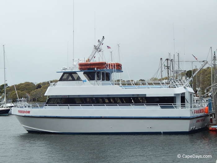 Ferry boat at the pier, red lettering on the ferry's side and stern: "Freedom"