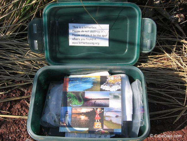 Green plastic box containing a postcard and other small geocache treasures