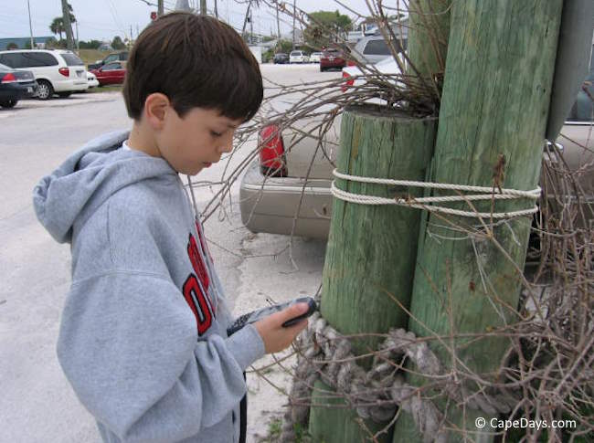 Young boy looking at his GPS device to locate a nearby cache
