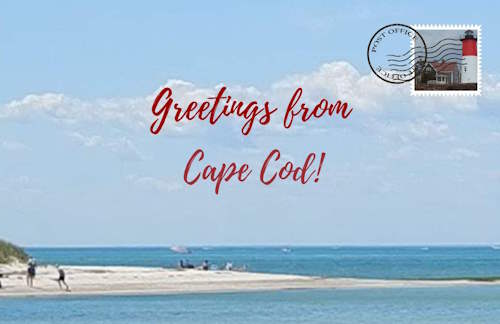 greetings-from-cape-cod-newsletter-header-2024.jpg