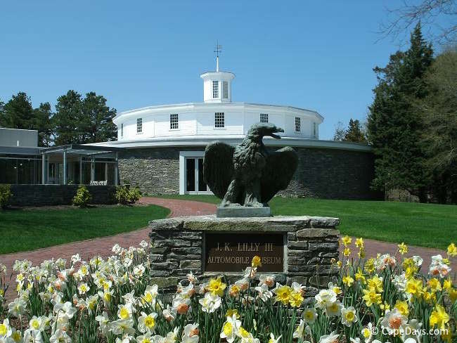 Daffodils in bloom outside the Auto Museum at Heritage Museums & Gardens in Sandwich, Cape Cod