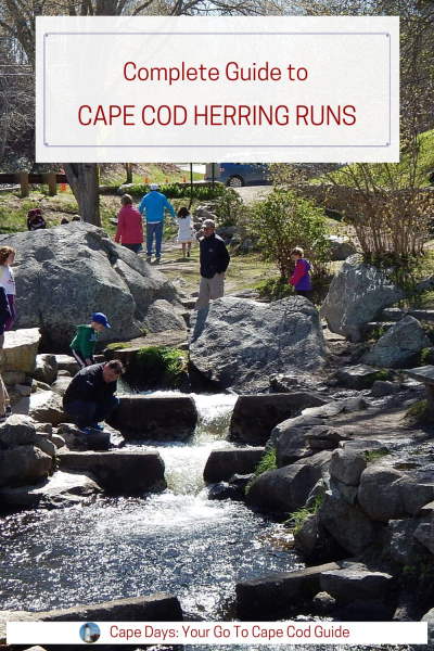 Pinterest graphic featuring a photo of people watching the herring run on Cape Cod