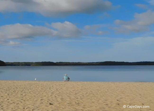 Man seated in a chair on the beach, looking out over pond, blue sky and puffy clouds