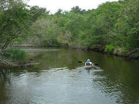 Man kayaking on a Cape Cod creek