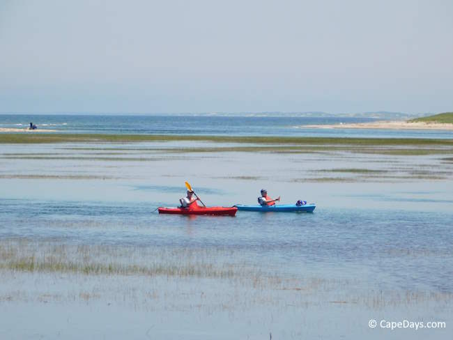 Two people kayaking through Scorton Creek marsh on Cape Cod Two people kayaking through Scorton Creek marsh on Cape Cod