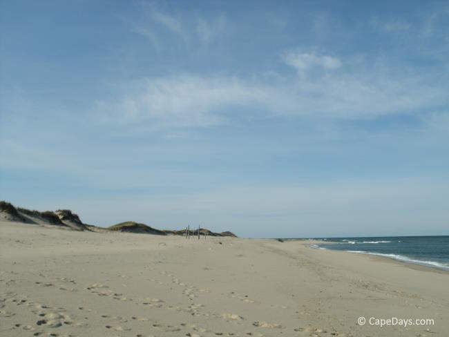 Deserted beach with dunes in the distance
