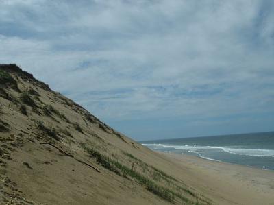 Cape Cod Dunes