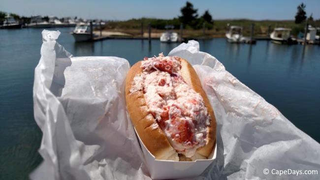 Lobster roll ready to eat by the marina at Rock Harbor, with boats in the background—classic Cape Cod takeout with a view.