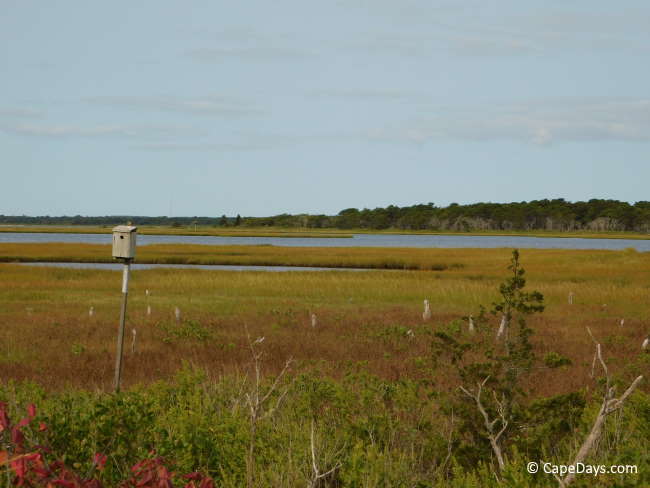 Marshland in autumn colors of red, green and gold, inlets from the ocean, bird house on post
